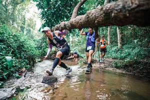 BIB: 
                            <button type="button" onclick="openModal(25368873)" class="btn btn-primary btn-sm float-right btn-popup" data-toggle="modal" data-target=".modal-high-quality">
                        <i class="fas fa-shopping-cart"></i> Add to Cart
                    </button>
                                            <button type="button" onclick="isThisMe(25368873, true)" class="btn btn-success btn-sm float-right btn-popup btn-isme hidden" data-toggle="tooltip" data-placement="bottom" title="นี่คือรูปของคุณใช่ไหม คลิกที่นี่เพื่อเอาเข้าอัลบั้ม">
                        <i class="fas fa-plus"></i> Add to album
                    </button>
                    <button type="button" onclick="isThisMe(25368873, false)" class="btn btn-warning btn-sm float-right btn-popup btn-isnotme hidden">
                        <i class="fas fa-ban"></i> Remove from album
                    </button>